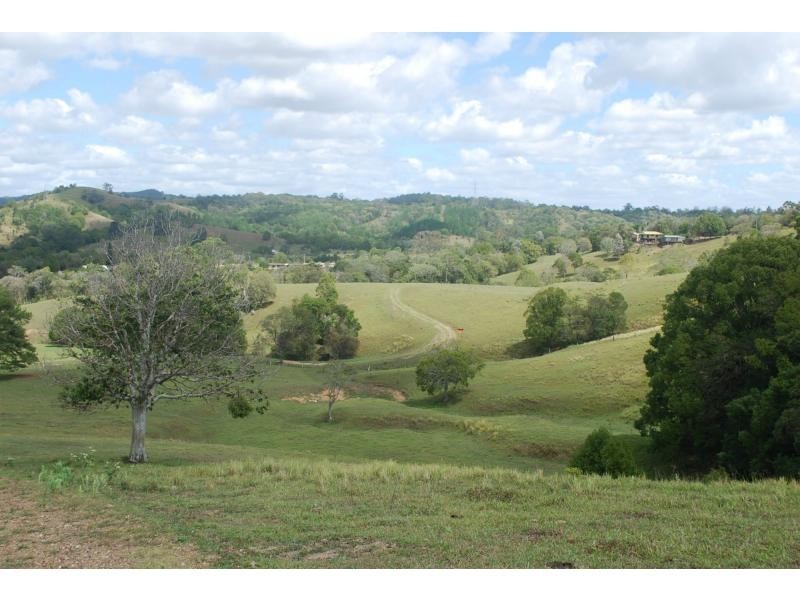 1 GRASS TREE Road, Eumundi QLD 4562