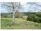 1 GRASS TREE Road, Eumundi QLD 4562