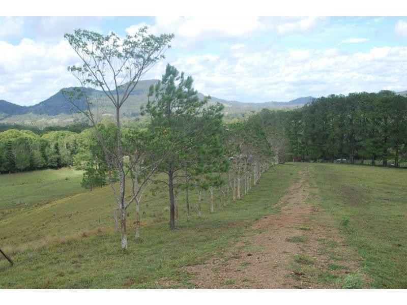 1 GRASS TREE Road, Eumundi QLD 4562