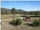 143 Oakey Creek Road, Gheerulla QLD 4574