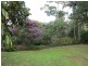 6 Payne Street, Eumundi QLD 4562
