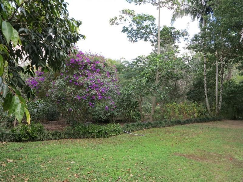 6 Payne Street, Eumundi QLD 4562