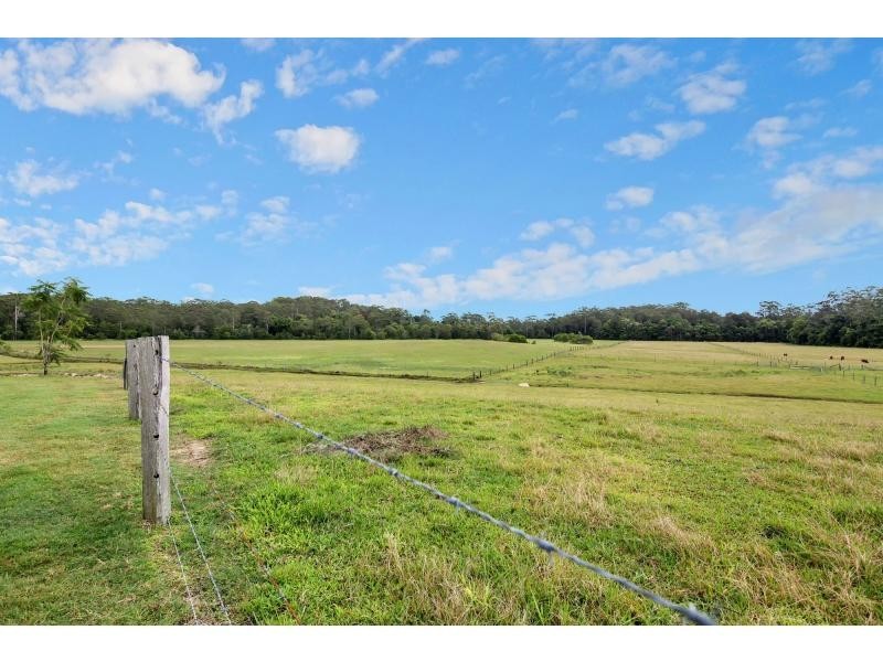 15 Fig Tree Lane, North Arm QLD 4561