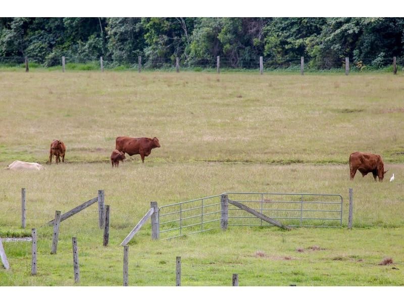 15 Fig Tree Lane, North Arm QLD 4561