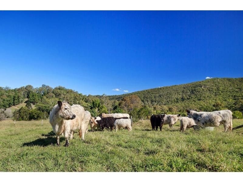 477 Gold Creek Road, Eerwah Vale QLD 4562