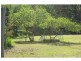 North Arm QLD 4561