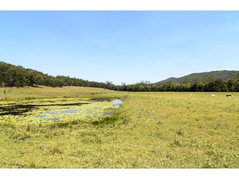 293 Cedar Creek Road, Belli Park QLD 4562