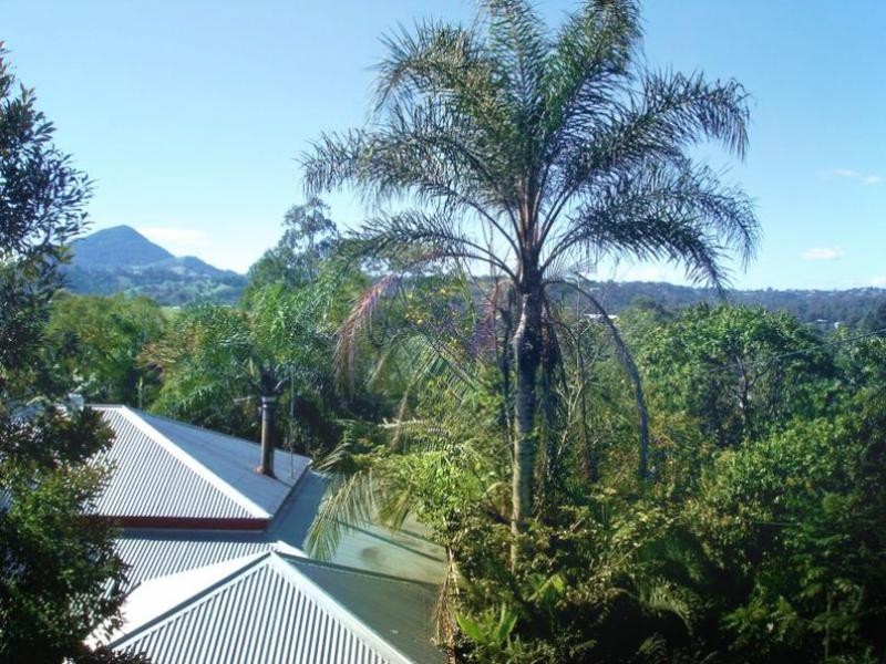 Eumundi QLD 4562