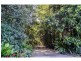 336 Gold Creek Road, Eerwah Vale QLD 4562