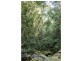 336 Gold Creek Road, Eerwah Vale QLD 4562