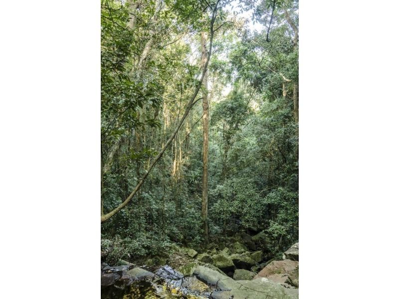 336 Gold Creek Road, Eerwah Vale QLD 4562