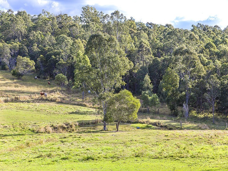 294 Skyring Creek Road, Belli Park QLD 4562