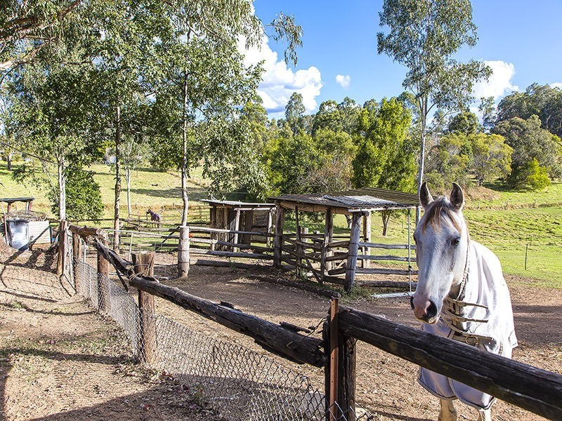 294 Skyring Creek Road, Belli Park QLD 4562