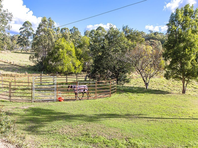 294 Skyring Creek Road, Belli Park QLD 4562