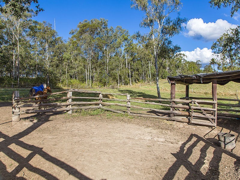 294 Skyring Creek Road, Belli Park QLD 4562