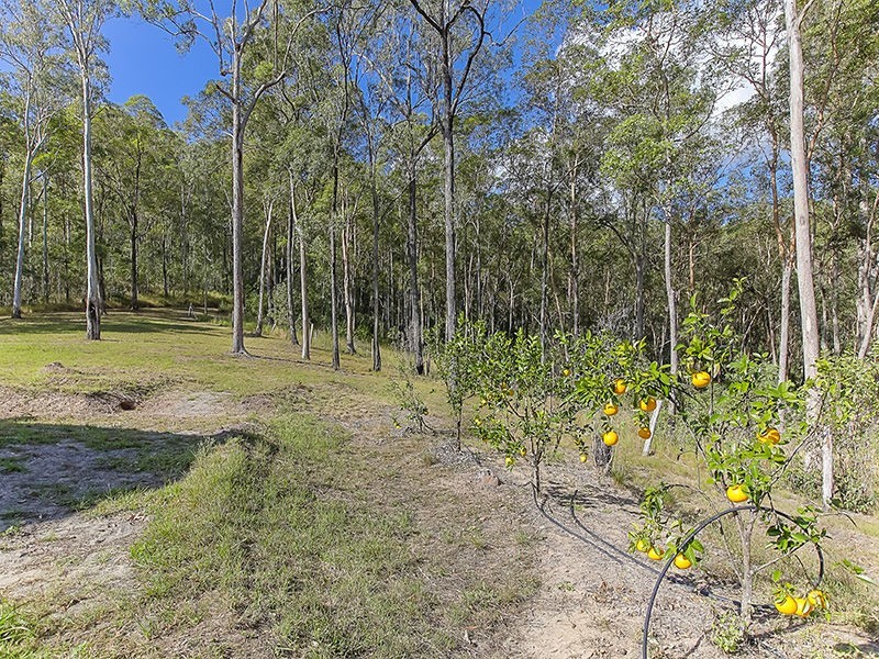 211 Boyle Road, Belli Park QLD 4562