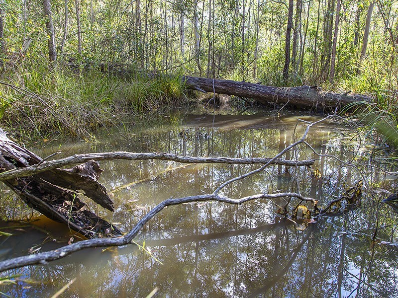 211 Boyle Road, Belli Park QLD 4562