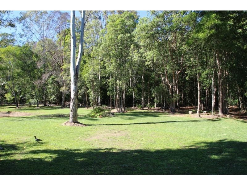 Black Mountain QLD 4563