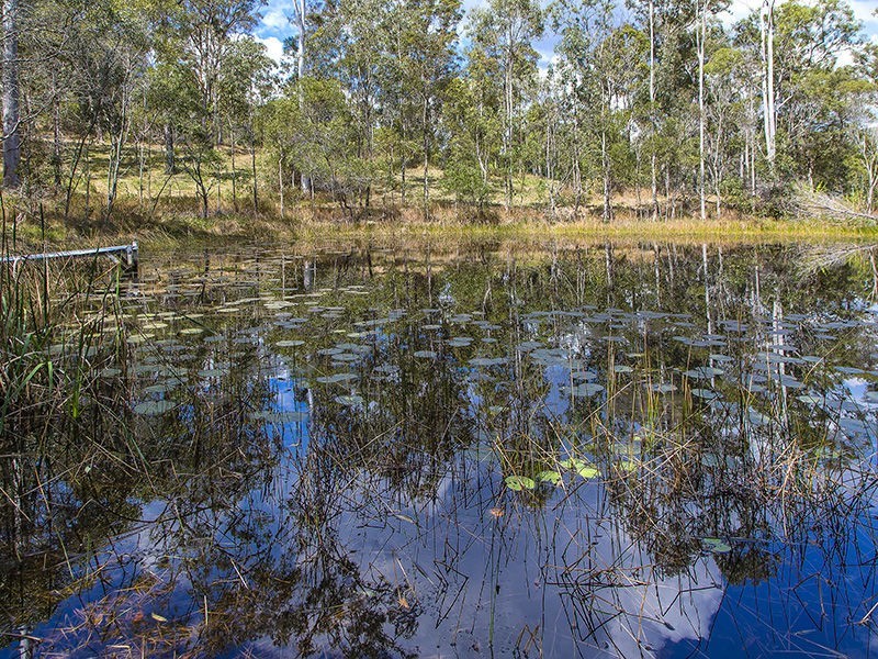 315 Boyle Road, Belli Park QLD 4562