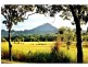 Eumundi QLD 4562