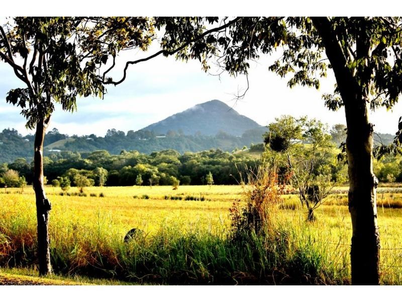 Eumundi QLD 4562