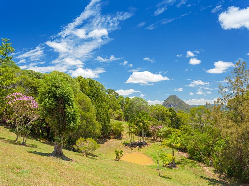 Black Mountain QLD 4563