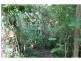 9 Crescent Road, Eumundi QLD 4562