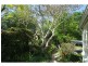 9 Crescent Road, Eumundi QLD 4562