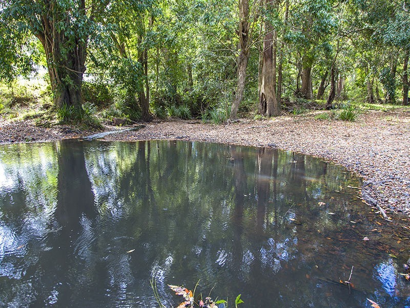 227 Cedar Creek Road, Belli Park QLD 4562