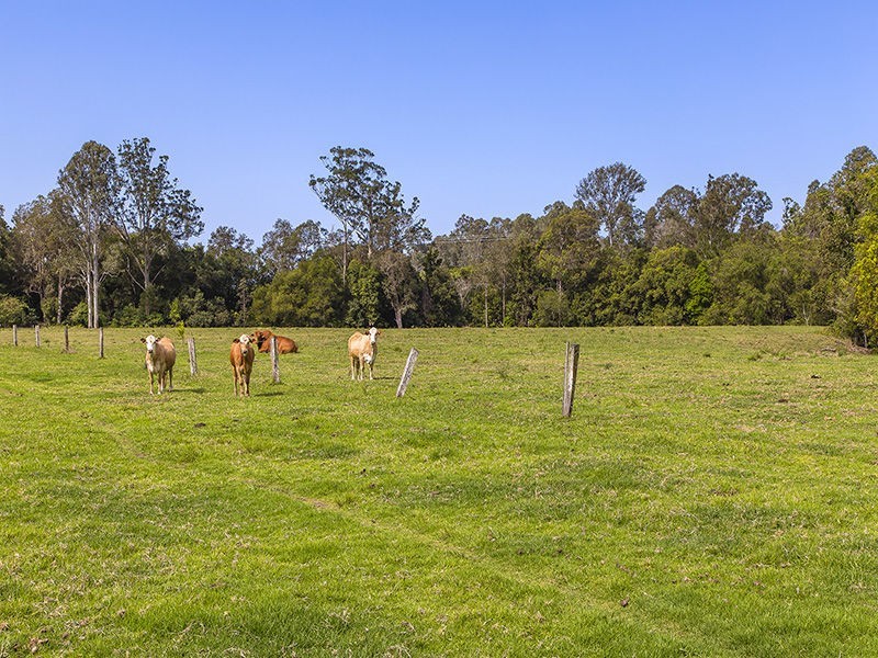 227 Cedar Creek Road, Belli Park QLD 4562