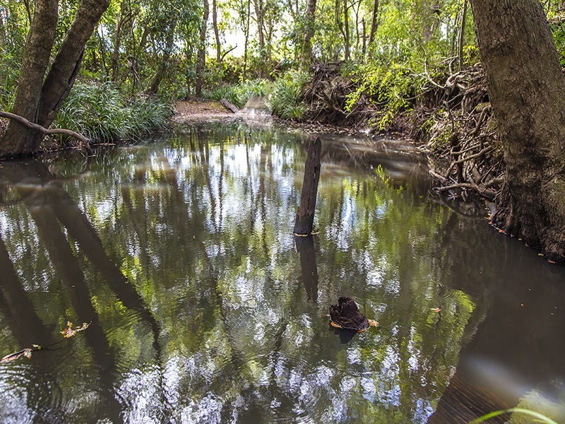 227 Cedar Creek Road, Belli Park QLD 4562