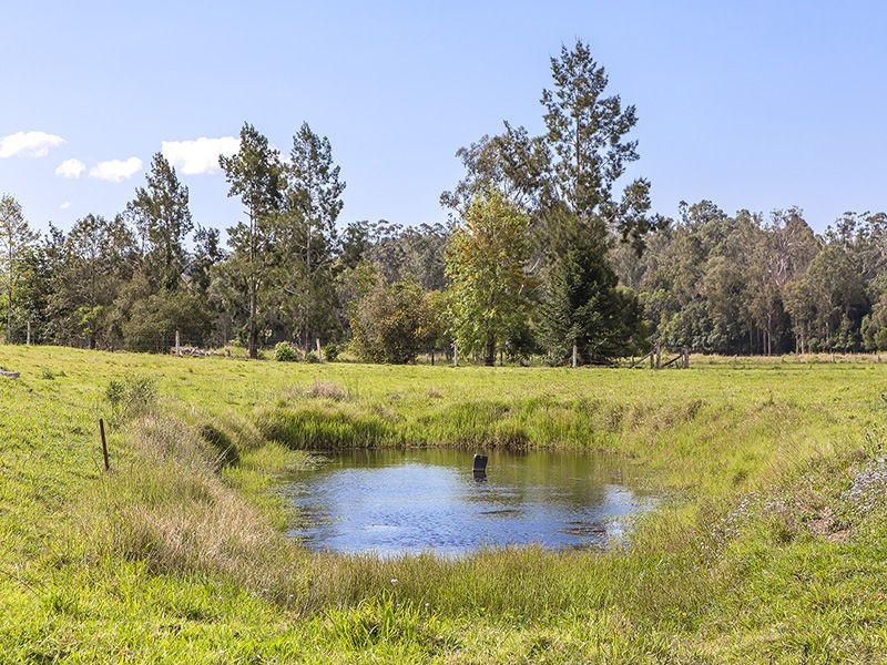 227 Cedar Creek Road, Belli Park QLD 4562