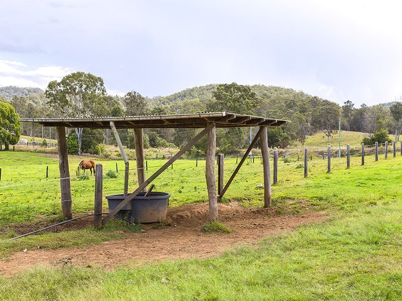 227 Cedar Creek Road, Belli Park QLD 4562