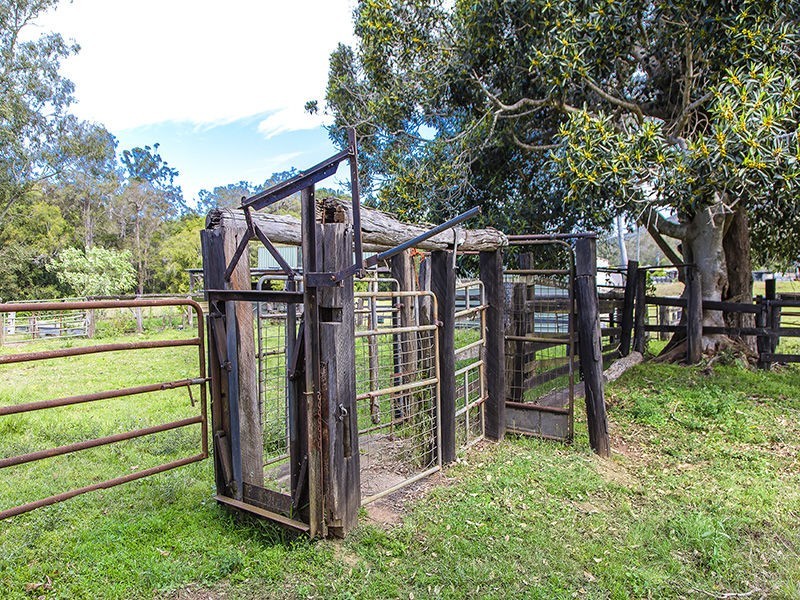 227 Cedar Creek Road, Belli Park QLD 4562