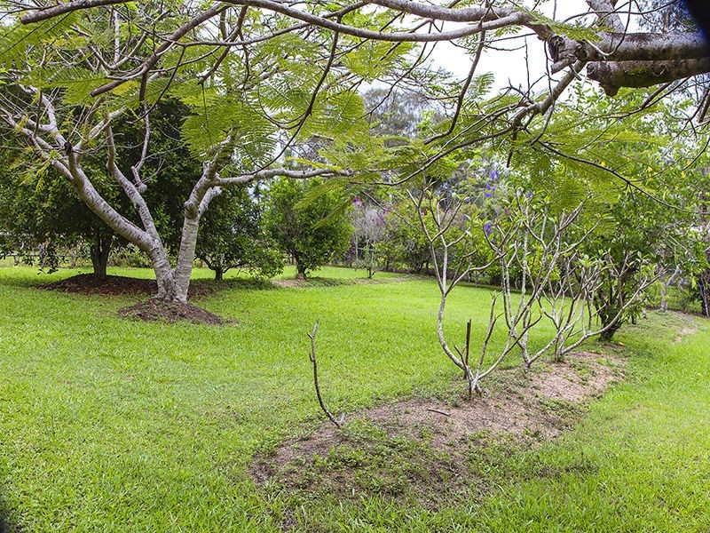 366 Duke Road, Doonan QLD 4562