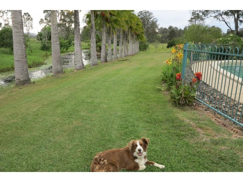 62 Fleetwood Road, Belli Park QLD 4562