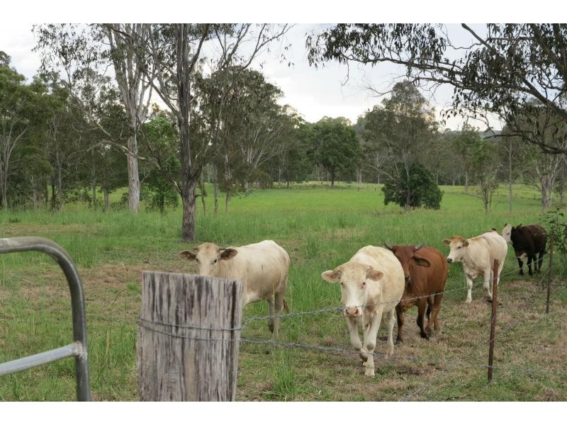 62 Fleetwood Road, Belli Park QLD 4562