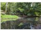 25 Cook Street, Eumundi QLD 4562