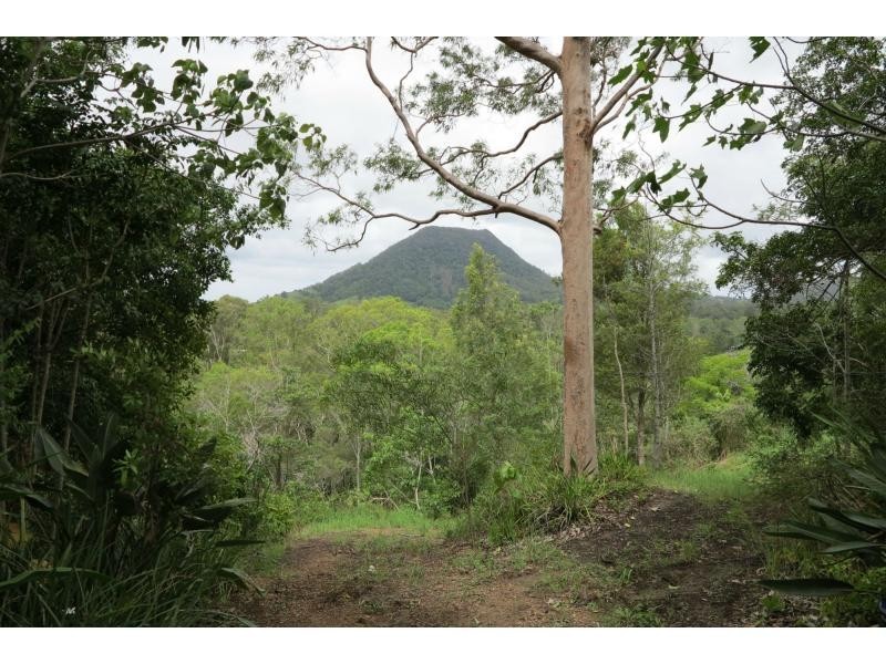 601 Eumundi Kenilworth Road, Eerwah Vale QLD 4562