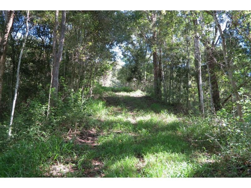 601 Eumundi Kenilworth Road, Eerwah Vale QLD 4562
