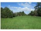 601 Eumundi Kenilworth Road, Eerwah Vale QLD 4562