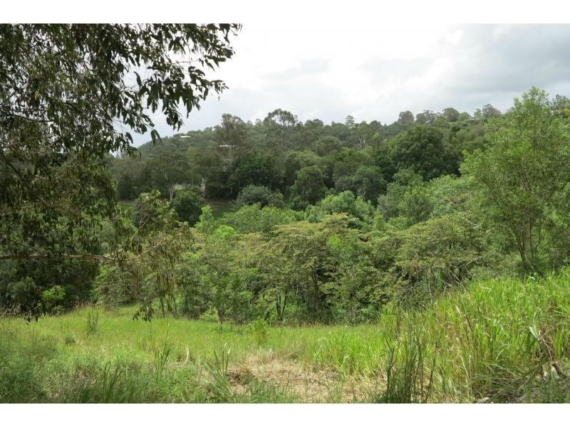 14 Payne Street, Eumundi QLD 4562