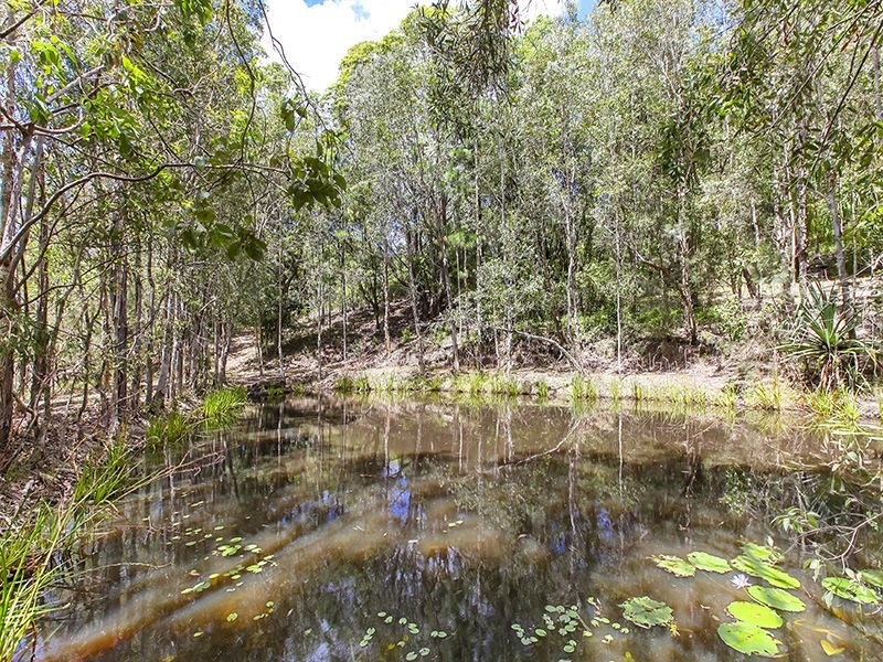 84 Doonan Bridge Road, Verrierdale QLD 4562