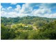 Eumundi QLD 4562