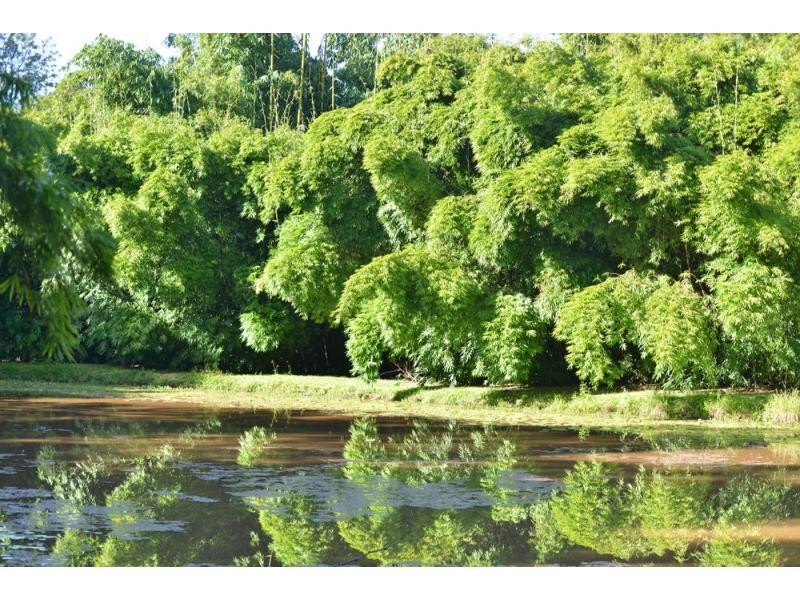75 Moy Pocket Gap Road, Moy Pocket QLD 4574
