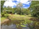 10 Seib Road, Eumundi QLD 4562