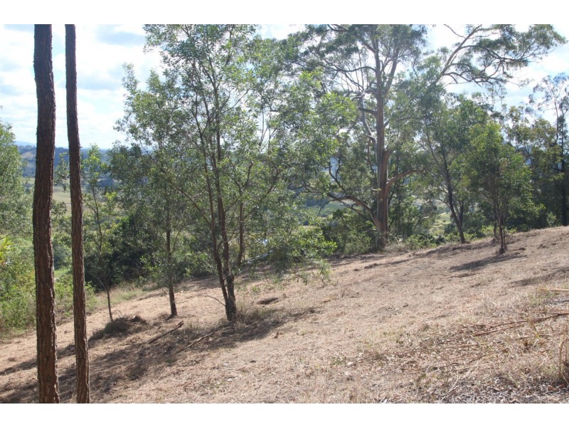 173 Wilsons Lane, Eerwah Vale QLD 4562
