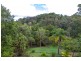 Eumundi QLD 4562