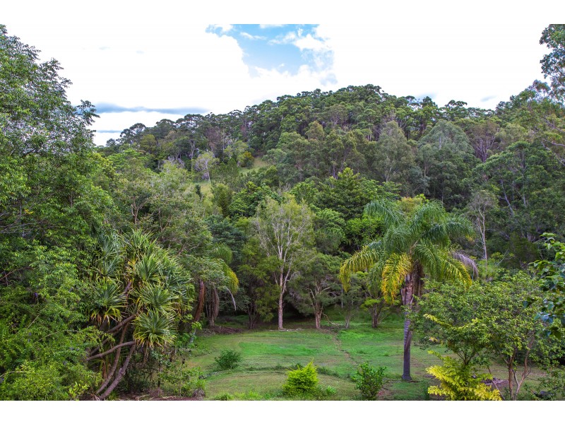 Eumundi QLD 4562