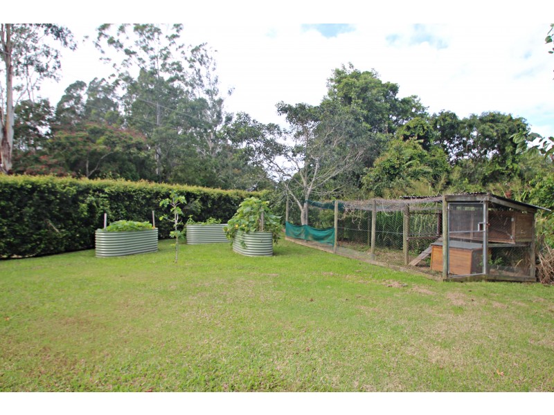 Eumundi QLD 4562